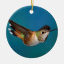 Buscar colibri adornos Pájaro