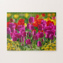 Buscar tulipanes puzzles Jardín