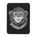 Buscar chimpancé imanes Lindo
