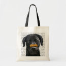 Buscar nariz bolsos Animales