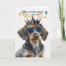Buscar doxie tarjetas Amante del perro