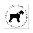 Buscar enanos y un perro postales Adorable