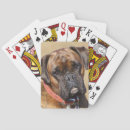 Buscar sacudida barajas de cartas Boxeador