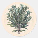 Buscar romero pegatinas Hierbas