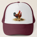 Buscar gallo camionero gorras 7 º morada