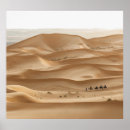 Buscar oasis del desierto posters Sahara