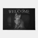 Buscar gatito precioso Dulce