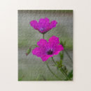 Buscar geranio puzzles Rosa