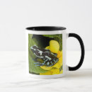 Buscar venenoso tazas Rana