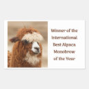 Buscar alpaca pegatinas Llama