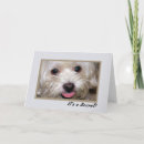 Buscar fiesta secreto invitaciones Celebración