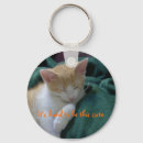 Buscar princess llaveros Gatito