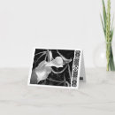 Buscar flecha negra tarjetas General y unisex
