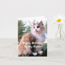 Buscar cumpleaños del gato calicó postales Para ella