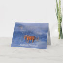 Buscar equine christmas postales Caballo