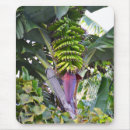 Buscar plátano alfombrillas de raton Banana