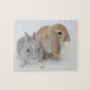 Buscar enanos puzzles Conejo