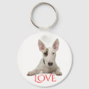 Buscar bull terrier llaveros Perro