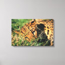 Buscar arte africano lienzos Animal