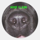 Buscar flash pegatinas Divertido