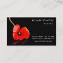 Buscar amapola roja tarjetas de visita Negro