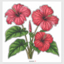 Buscar hibisco verde postales Hojas
