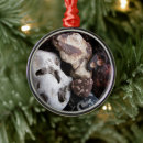 Buscar minerales adornos Rocas