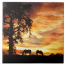 Buscar sunset azulejos Naturaleza