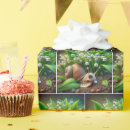 Buscar moluscos papel de regalo Para todos