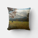 Buscar cad cojines Cades cove