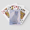 Buscar ártico barajas de cartas Zorro blanco