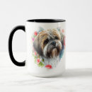 Buscar apso Blanco