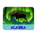 Buscar luz verde imanes General y unisex