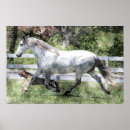 Buscar caballos andaluces posters Caballo español