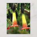 Buscar incas postales Viajar