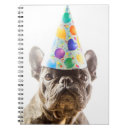 Buscar mascotas cuadernos Bulldog