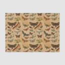 Buscar insectos papel de seda Desacoplamiento