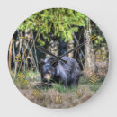 Buscar oso relojes de pared Amantes de los osos