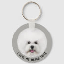 Buscar bichon frise llaveros Lindo