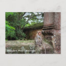 Buscar cambodia postales Angkor wat