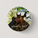 Buscar animales divertidos chapas General y unisex