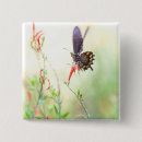 Buscar invertebrados chapas Naturaleza