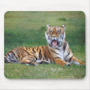 Buscar tiger alfombrillas de raton Animales salvajes