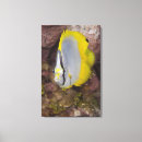 Buscar submarino lienzos Vertical