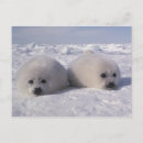 Buscar arpa postales Piel