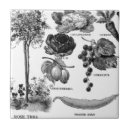 Buscar botanicals Botánica