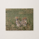 Buscar masai mara puzzles Bebé