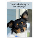 Buscar cortesía tarjetas Perro