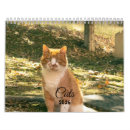 Buscar gatos calendarios De gatos 2026