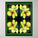 Buscar geranios posters Floral